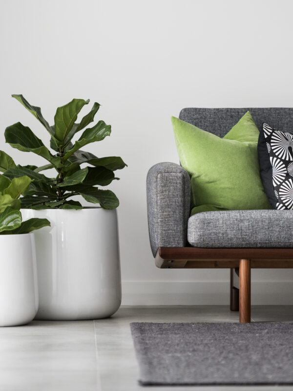 MCM: Luxury mid-century modern Home Perth