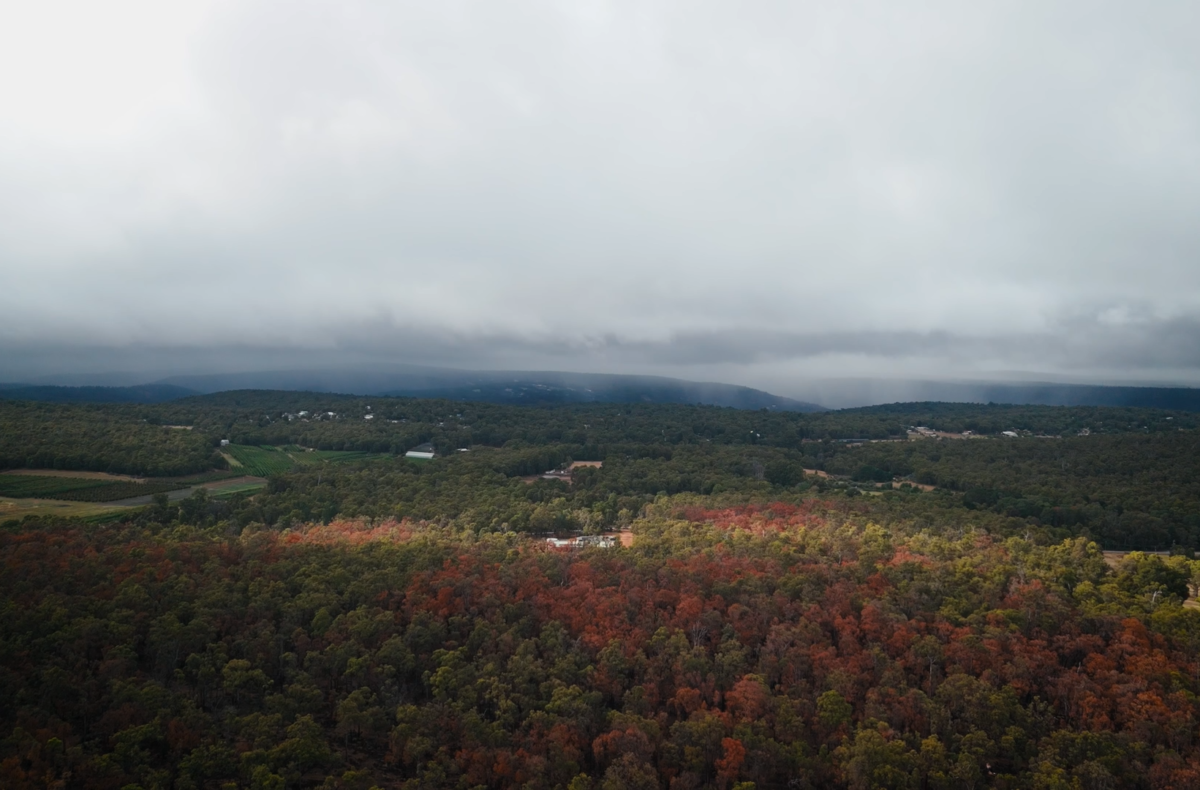 Scenic landscape - The Arabesque Client Journey with Oswald Homes