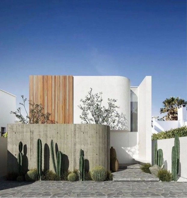white tropical exterior home with cactus